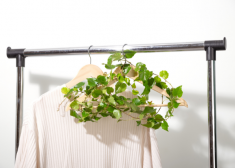 Fashion in truly changing: hers's how Sustainability is trasforming the industry